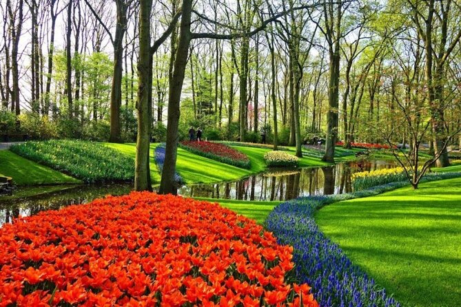 Private Tour to Tulips, Keukenhof, Windmills & Cheese Farm - Price and logistics: what you’re really paying for at $470.43 per person