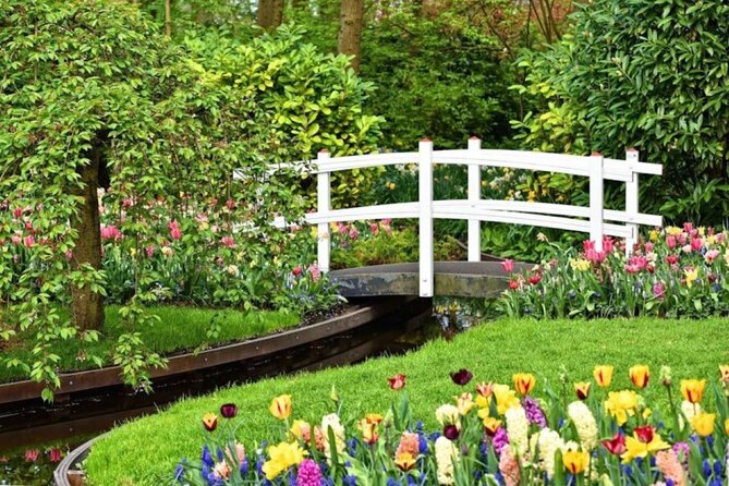 Private Tour to Tulips, Keukenhof, Windmills & Cheese Farm - Who should book this private Tulip, Windmill & Cheese tour