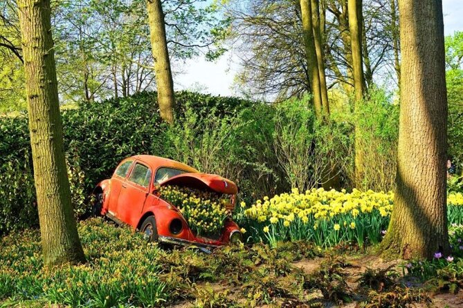 Private Tour to Tulips, Keukenhof, Windmills & Cheese Farm - The timing reality: what to expect if tulips are past peak