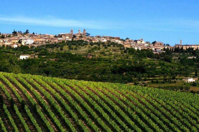 Private tour Wine and cheese a perfect combinations val 'Orcia - Key highlights worth your time