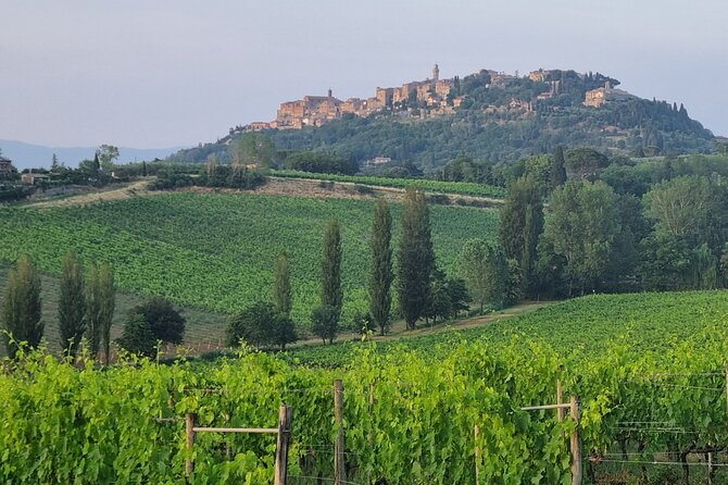 Private tour Wine and cheese a perfect combinations val 'Orcia - Montalcino Brunello winery: cellar tour and a five-wine tasting session