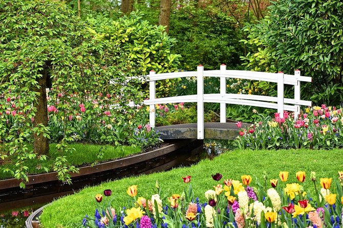 Private Tulip Fields, Windmills and Cheese Tour from Amsterdam - A Day Trip That Works Like a Plan, Not a Wish