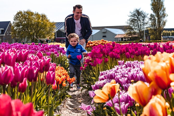 Private Tulip Fields, Windmills and Cheese Tour from Amsterdam - Timing, Comfort, and What the Private Ride Changes