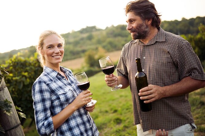 Private Wine Tour in Niagara-on-the-Lake w/ cheese & charcuterie - Marynissen Estate: Small-Lot, Rustic-Modern Style