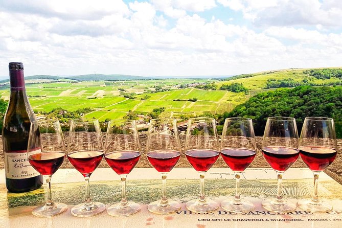 Private wine tour to Sancerre vineyards from Paris with Sommelier - Key highlights you’ll feel right away
