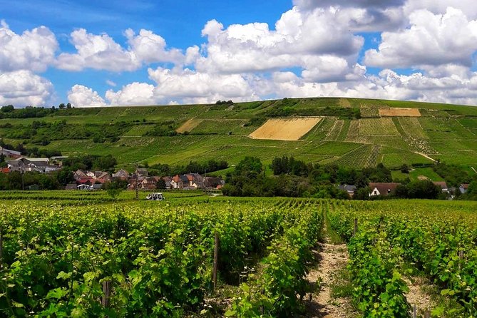 Private wine tour to Sancerre vineyards from Paris with Sommelier - Lunch in Sancerre: you have time, but you pay for it