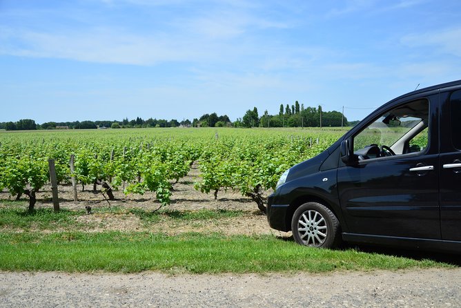 Private wine tour to Sancerre vineyards from Paris with Sommelier - Second winery stop: another round, with the region fresh in your mind