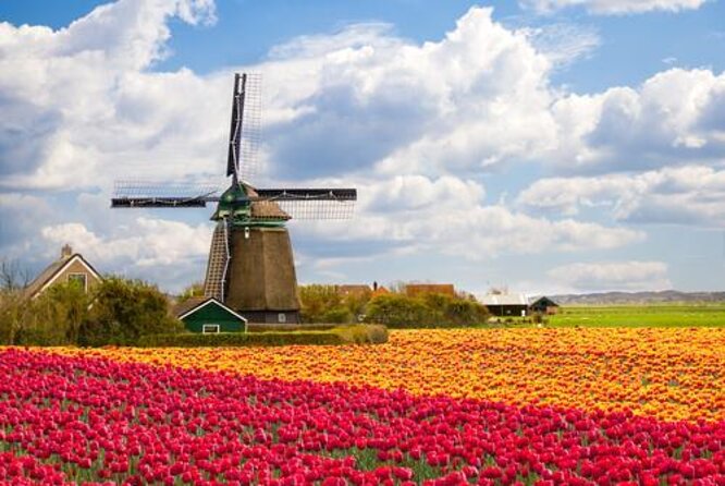 Private Zaanse Schans & Volendam Tour: Windmills, Cheese & Clogs - Key highlights to plan for
