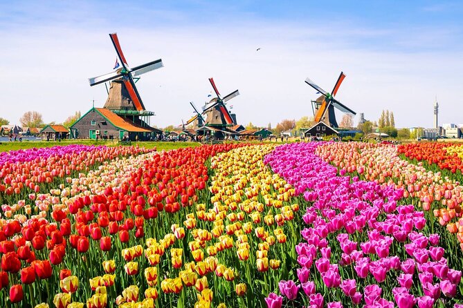 Private Zaanse Schans & Volendam Tour: Windmills, Cheese & Clogs - Price and value: what $341.53 per person really buys you