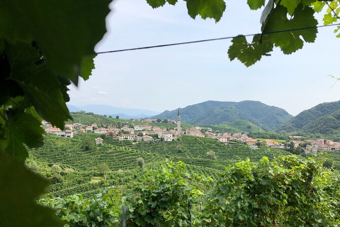 Prosecco Hills Wine and Cheese Gourmet Discovery - Eight sparkling Prosecco tastings: how to enjoy them without getting lost