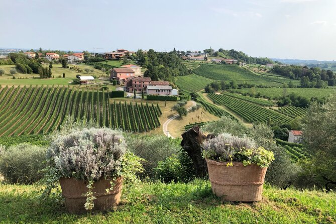 Prosecco Hills Wine and Cheese Gourmet Discovery - Who this tour suits best (and who might want to skip it)