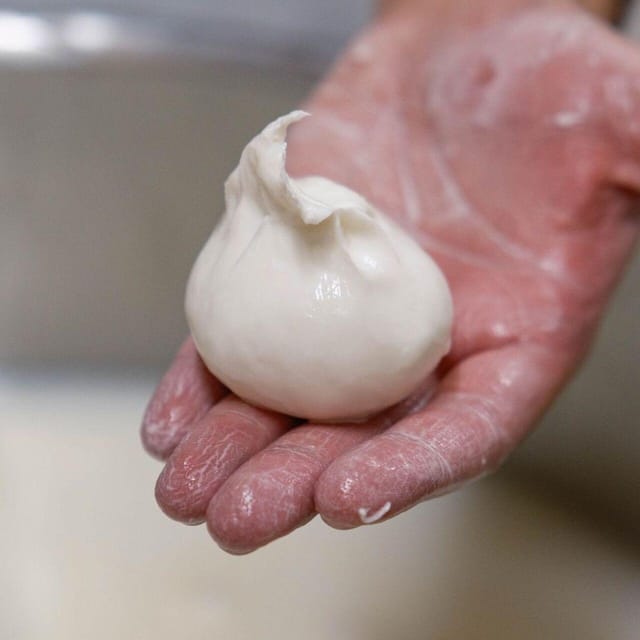 Puglia: Masseria Seppunisi Tour, Cheese, Burrata Tasting - Key things to know before you go