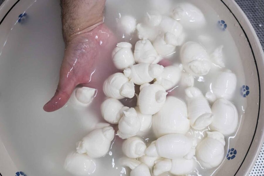Puglia: Masseria Seppunisi Tour, Cheese, Burrata Tasting - Making mozzarella and burrata with your hands