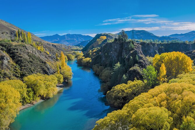 Queenstown Classic Wine Tour: 3 Winery Visits, Cave Tour & Cheese - Guides Make or Break the Day: What You’re Paying For