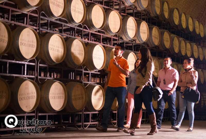 Querétaro: Art, Cheese and Wine Route - Freixenet México Cellar Time: Wine Tasting With a Producer’s Lens