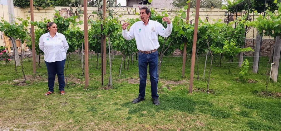 Querétaro: Bernal & Tequisquiapan Trip with Wine & Cheese - Tequisquiapan historic center: guided walking plus time to roam