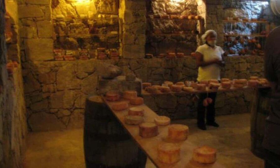 Querétaro: Cheese and Wine Tasting Tour - Cheese and Wine Tasting: The Pairing Part That Actually Counts