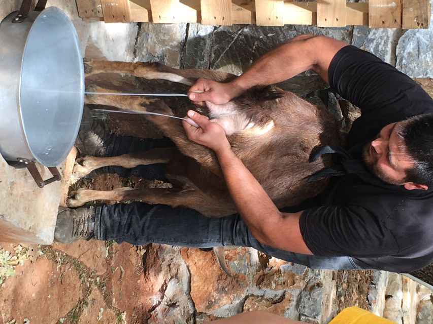 Rethymno 4x4 Safari: Tastes & Farm Experience - Key things worth knowing before you go