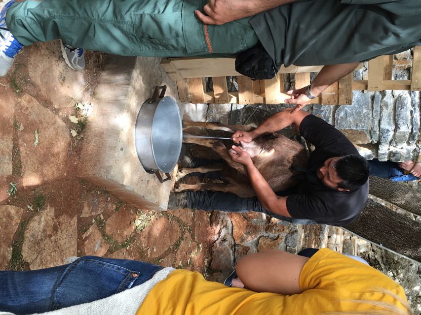 Rethymno 4x4 Safari: Tastes & Farm Experience - Melidoni Olive Oil Mill: How You Taste Liquid Gold