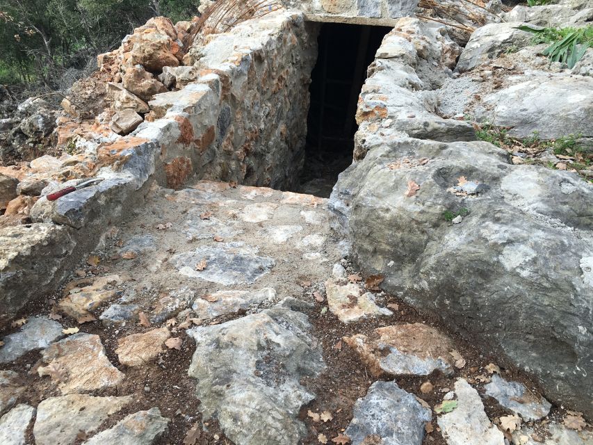 Rethymno 4x4 Safari: Tastes & Farm Experience - The Mitato Shepherd Hut: Live Cheese-Making in the Mountains