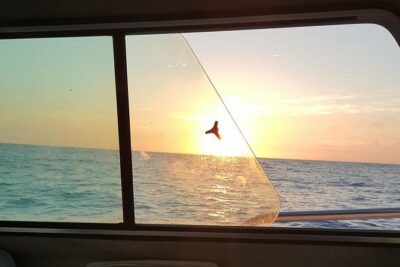 Romantic Wine and Cheese Boat Tower Cruise - From 1441 Quivira Rd to your private boat ride