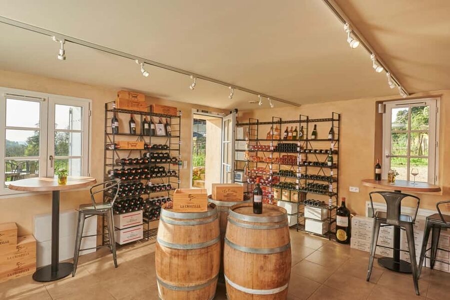 Saint-Emilion: Grand Cru Classé Cheese & Charcuterie Visit - The commented tasting: 3 wines and the pairing method that clicks