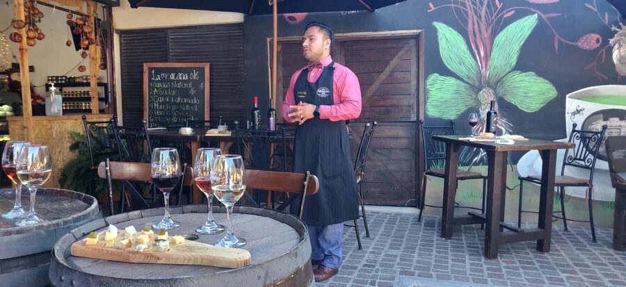 Santiago de Querétaro: Pueblos Mágicos Cheese and Wine Route - Tequisquiapan’s Pink Quarry Feel: Alleys, Museums, and Market Browsing