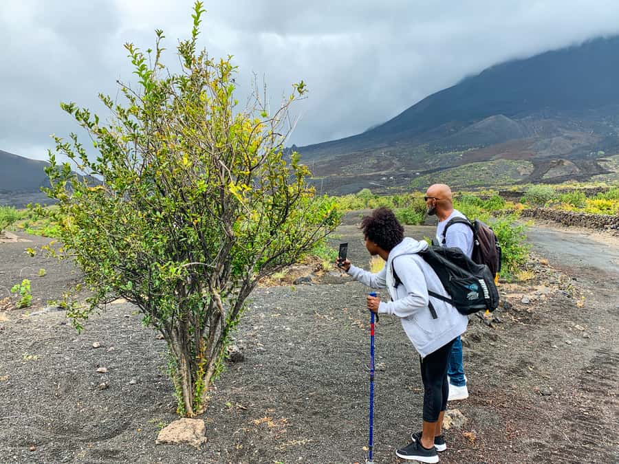 São Filipe: Fogo Volcano with Wine and Cheese Tasting - Price and value: is $100 fair for this much volcano time?
