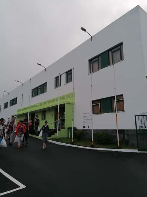Sao Jorge Cheese Tour - Half day - Getting to Uniqueijo in Calheta: where DOP cheese becomes product
