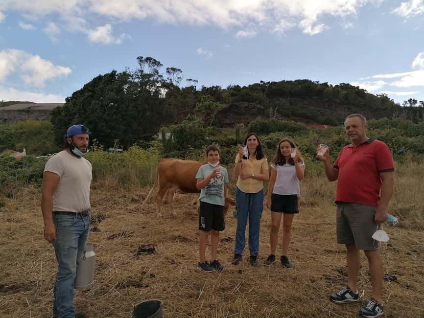 Sao Jorge Cheese Tour - Half day - The factory tour plus tasting beats: how maturation changes flavor