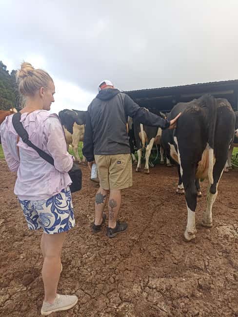 Sao Jorge Cheese Tour - Half day - Timing tips: closures, waits, and how to stay relaxed