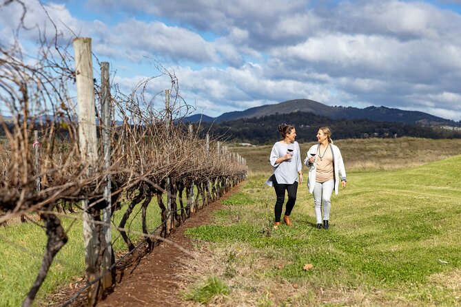 Scenic Hunter Valley Tour with Wine and Cheese Tastings - Sydney Harbour Bridge start: the scenic warm-up before wine country
