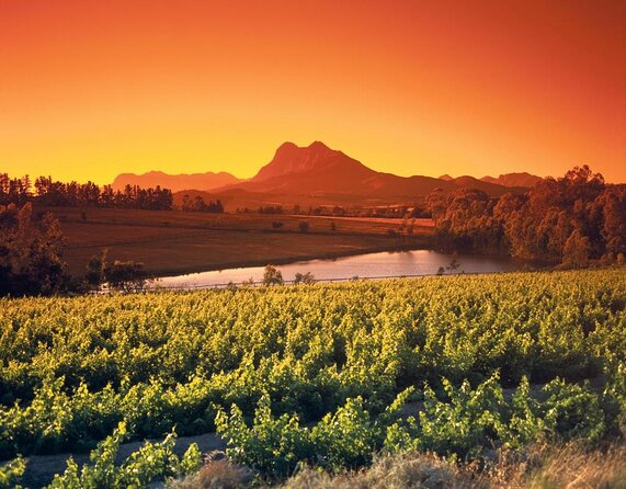 Shared Tour To The Wineries Stellenbosch Paarl + Cheese Tasting from Cape Town - Key Highlights You’ll Actually Care About