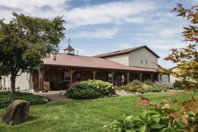 Shared Wine, Chocolate and Cheese Tasting in Conesus Lake - What You Taste: Four Wines Matched with Cheese and Chocolate