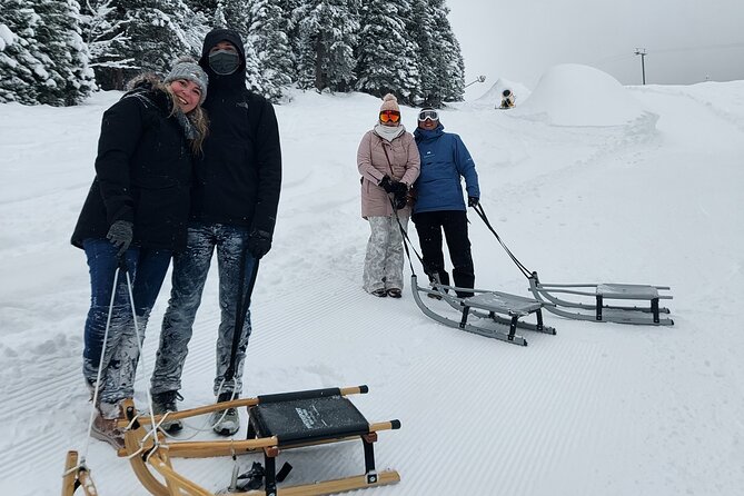 Sledding Cheese Fondue, Chocolate - The Fondue Option: A Mountain Stop for Swiss Cheese Tradition