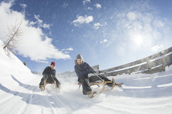 Sledding Cheese Fondue, Chocolate - Who This Tour Fits Best in Grindelwald