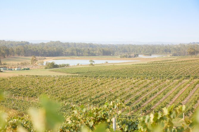 Small Group Hunter Valley Wine Tour w Lunch, Gin, Cheese & Choc - Price and Value: Is $161.38 Good for This Hunter Valley Day?