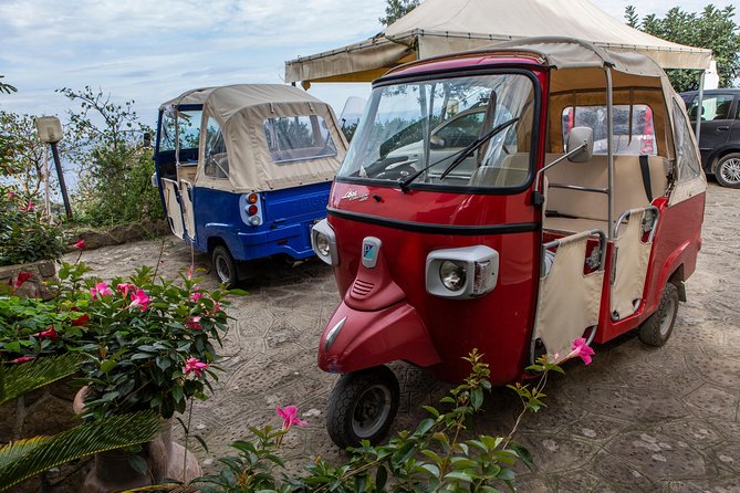 Sorrento Farm by Tuk Tuk: Cheese, Limoncello & Hands-On Pizza - Price and value: what you’re paying for at $211.02 per person