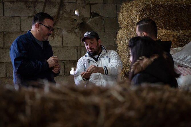 Sorrento Farm by Tuk Tuk: Cheese, Limoncello & Hands-On Pizza - Who should book Sorrento Farm by Tuk Tuk