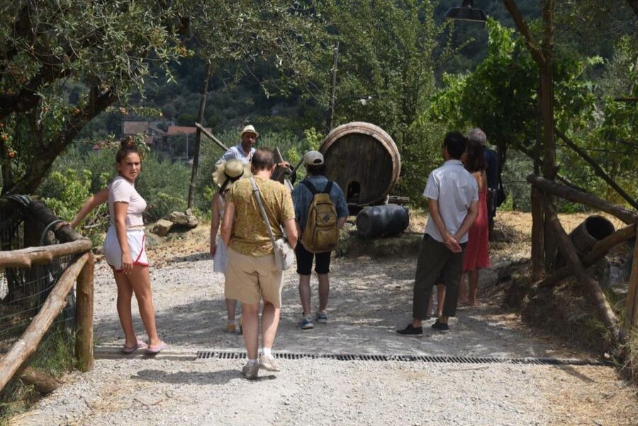 Sorrento Farm Experience: Pizza, Cheese, Wine & More - Getting to the meeting point without stress