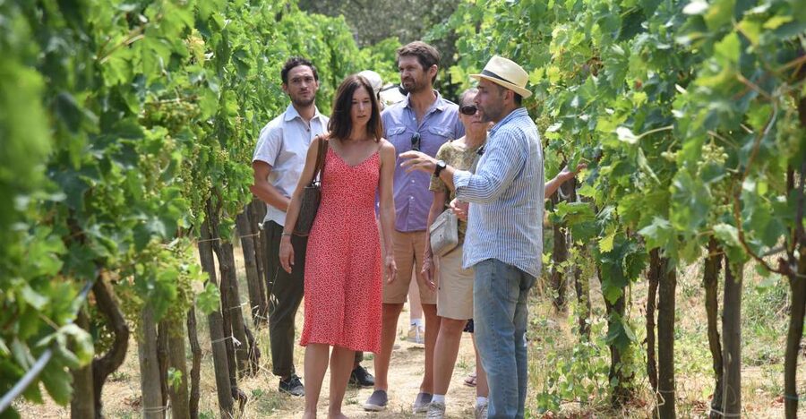 Sorrento: Farm Tour with Cheese Tasting & Pizza Making Class - Mozzarella and caciotta spinning: the cheese lesson that sticks