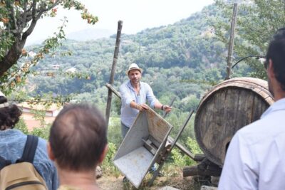 Sorrento: Farm Tour with Cheese Tasting & Pizza Making Class - The farm tour walk: animals, crops, vineyard, citrus, olive oil area