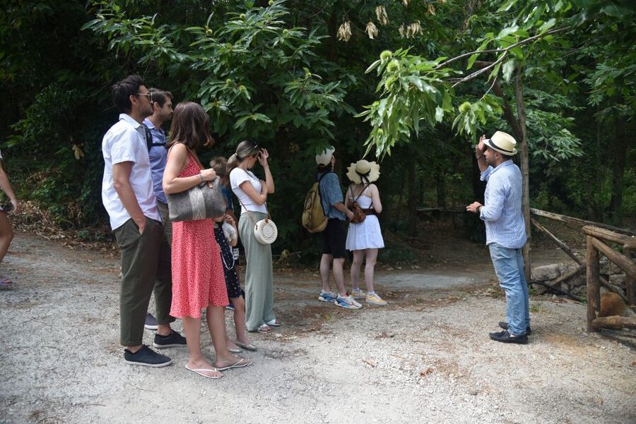 Sorrento: Farm Tour with Cheese Tasting & Pizza Making Class - The drinks: wine, limoncello, and why the farm matters