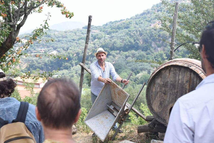 Sorrento: Farm Tour with Cheese Tasting & Pizza Making Class - The farm tour walk: animals, crops, vineyard, citrus, olive oil area