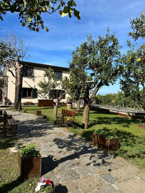 Sorrento: Mozzarella experience. Say CHEESE with us! - Lemon orchard walk: seeing the gold lemon up close