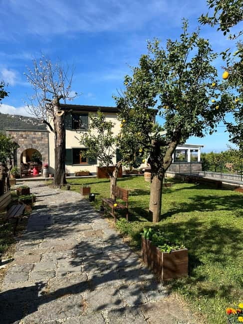 Sorrento: Mozzarella experience. Say CHEESE with us! - What you get for $100 per person (and where the value shows)