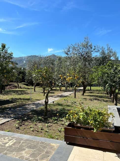 Sorrento: Mozzarella experience. Say CHEESE with us! - Getting to the farm near Piano di Sorrento (without stress)