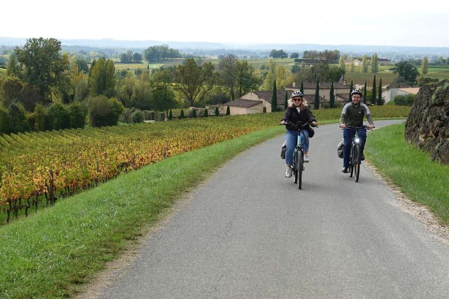 St. Emilion: Half Day E-Bike & Wine Tour with Wine & Cheese - The winery portion: guided tour, wine tasting, and meeting the maker