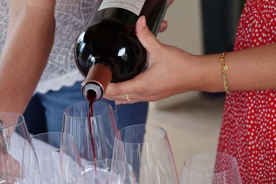 St. Emilion: Half Day E-Bike & Wine Tour with Wine & Cheese - The lunch in the vines: cheese board, picnic-style food, and wine pairing