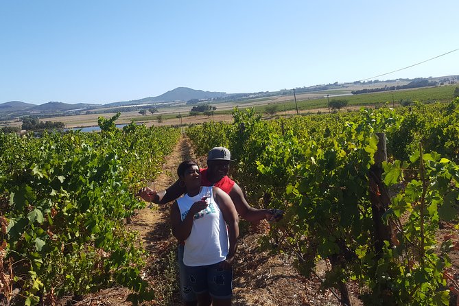 Stellenbosch Franschhoek Full-Day Tour with Cheese Tasting - Cape Winelands in One 8-Hour Block: How This Tour Actually Fits